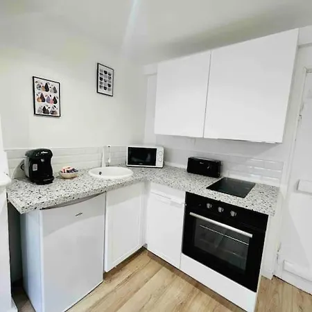 Les Hortensias 公寓 鲁昂