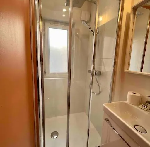 Les Hortensias * Rouen